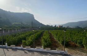 Mandarina Room with incredible view - Foto 27