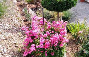 Apartment Iva&Andro - Foto 17