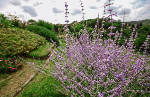 Il Pozzo Fiorito - Foto 58