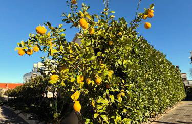 Holiday Luxury Resort Sundance - Photo 59