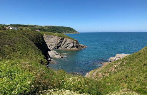 White Lion Aberporth - Foto 14