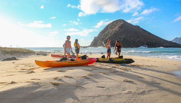 Profitez des paysages hawaïens