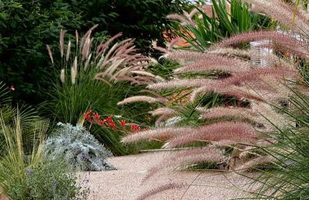 Can Jeannette Vue Mer & Montagne - Lodge 2 - Foto 67