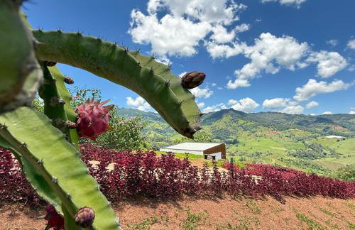 Chalé Jacarandá - Vale do Baú by HospedaHost - Foto 68