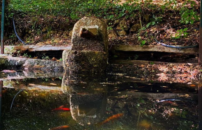 Impeccable 5 Bed House in Santa Cruz do Douro - Foto 26