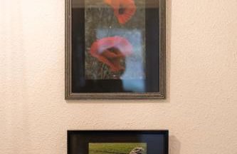 Le Clos Bellevue Appartement T3 parking + piscine - Photo 29