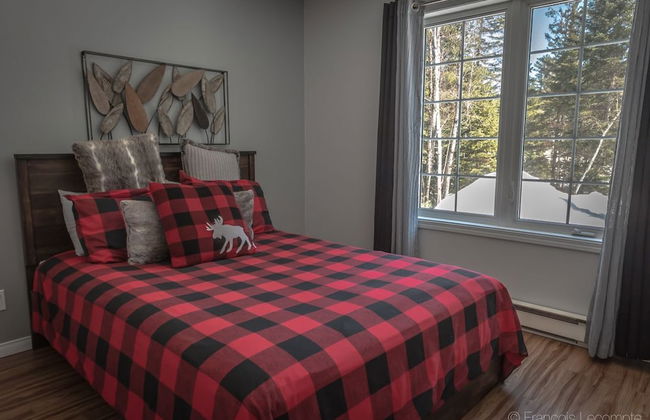 Le Panache des bois - Foto 2