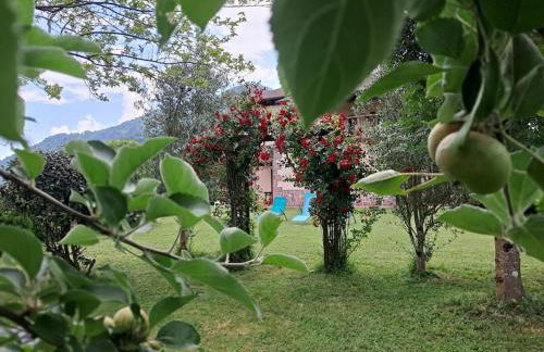 Goizeder etxea - Foto 8