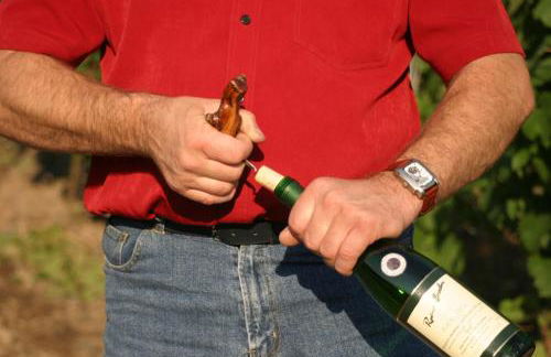 Ferienwohnung Rivaner - Foto 50