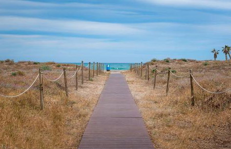 Amplio Canet - Foto 24