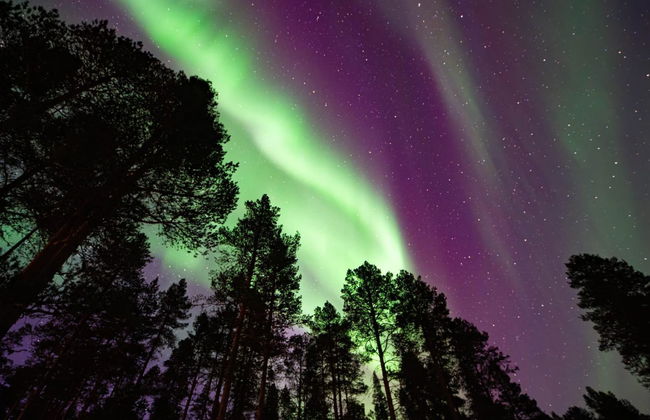 Peurankuoppa - Foto 4