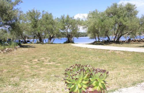 Apartments Bubica - Photo 4