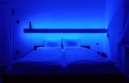 Królówka - Foto 24