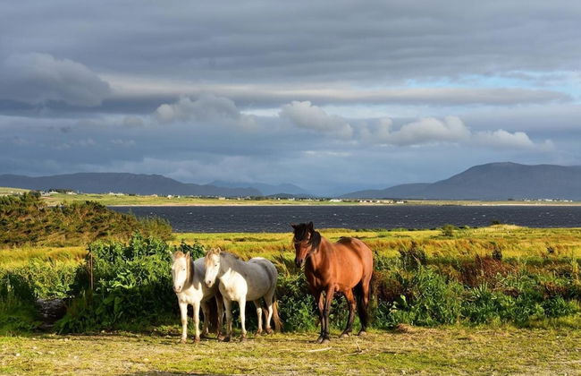 Nature Retreat - Sleeps 4 & Wild Ponies - Foto 7