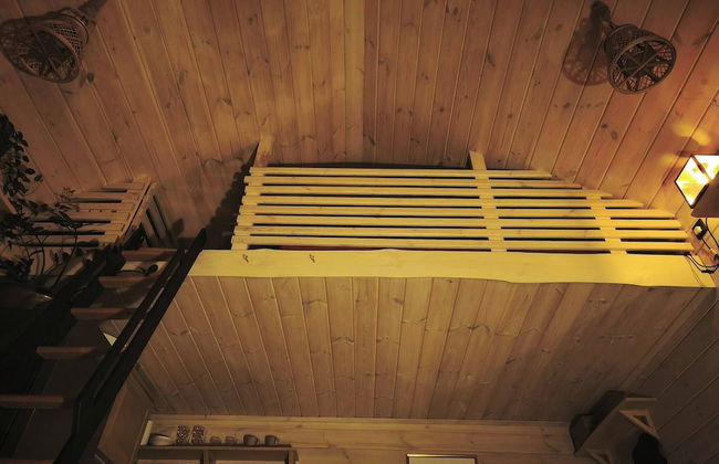 Metai Miške&a Year in the Forest - Photo 12