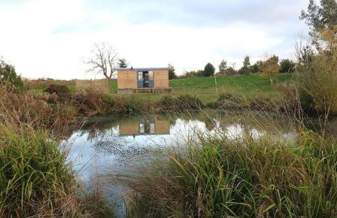 Shepherd's Hut- Hot Tub- Wellness Spa- Wood Burner - Foto 2