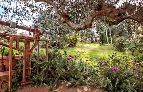 Casale Vincenzo - Foto 7