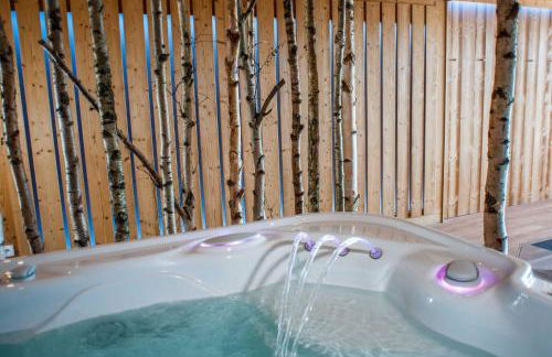 LES GÎTES D'ADELSPACH - Gîtes 4 étoiles Nature & Spa - Foto 26