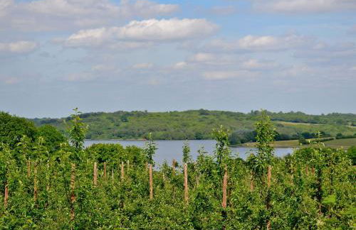 Stable Cottage - Foto 15