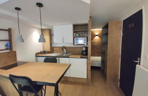 Joli studio moderne entièrement rénové - Guillestre - Risoul - Vars - Foto 5