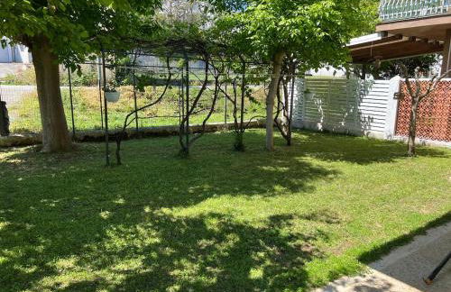 Cuorconero - Photo 33