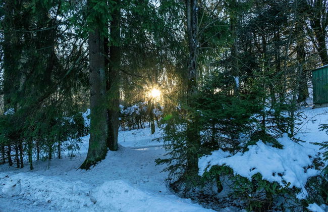 Quaint Holiday Home near Ski Area in Neuastenberg - Foto 30