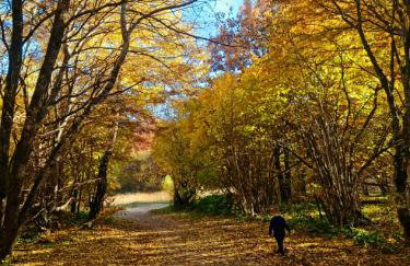 Wild Rose Samobor - Foto 77