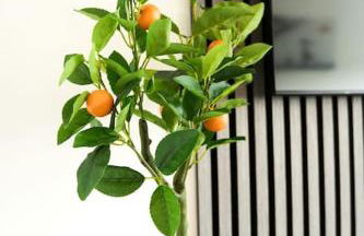 Modern 3 Bedroom Apartment - Photo 33