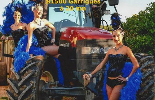 Le Cottage Bien-Etre Jacuzzi Piscine Chauffée Privée du Tarn entre Toulouse et Albi & Les Cottages du Tarn - Foto 82