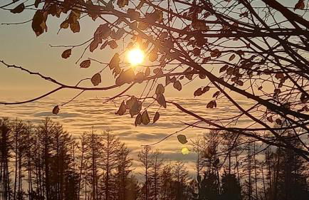 Berg-Panorama-Ferienwohnungen Gut-Lichtenau - Foto 45