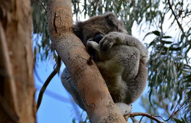 Apartments 521 - Foto 37