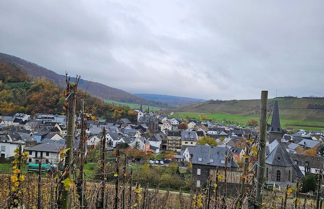 Apartment in Veldenz With Balcony - Foto 21