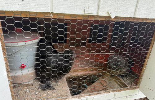 Chic Catskills Farmhouse - Foto 34