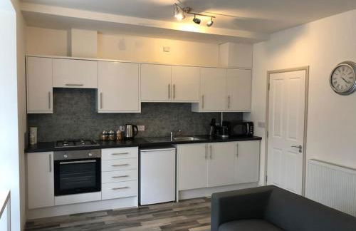 Newly Renovated Modern Studio Apartment - Foto 5