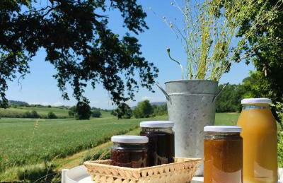 Agriturismo La Sorgente - Foto 12