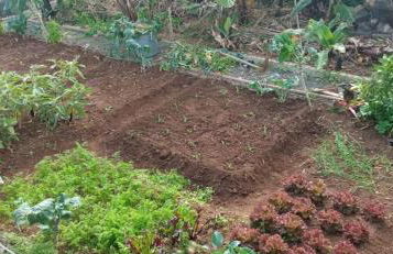 The Goat's Place III - Foto 24