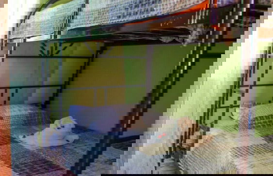 Pura Natura Lodge Arroyo - Foto 8