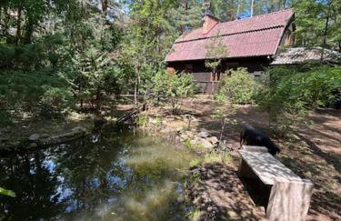 Leśna Chata Arciechów - Foto 14