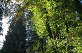 Ferienwohnung Haus Schöneck - Foto 10