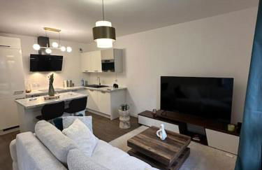 PARIS CDG Superbe appartement en résidence - Foto 1