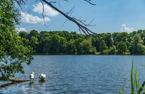 Brzozowa Chatka - Dom nad Jeziorem - Wellness & Ceragem - Foto 25