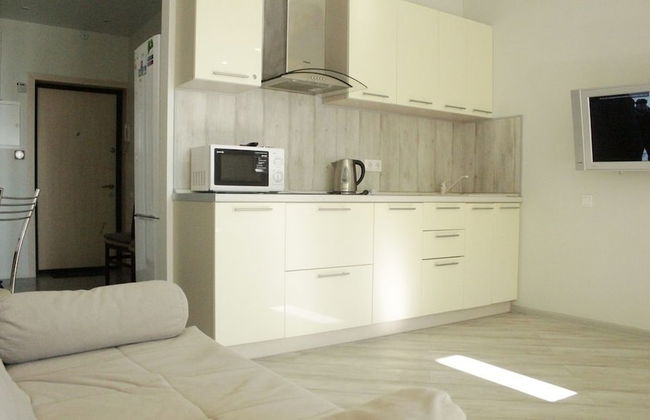 LOFT STUDIO Nosovihinskoe 25-3 - Photo 5