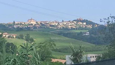 Cascina Danila - Foto 4, Garden