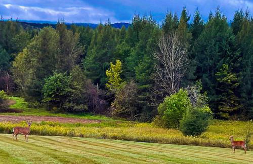 Whispering Pines Retreat - Foto 27