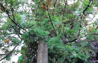 Casa Gazzano - Photo 49