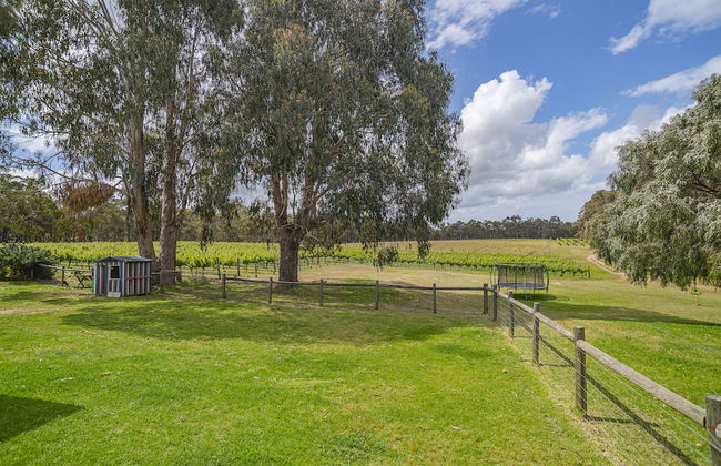 Island Brook Estate Vineyard and Chalets - Foto 53