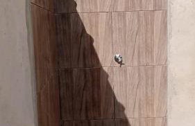 Chácara Raízes - Photo 10