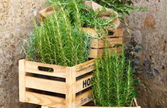 Misia Country Resort - Foto 98