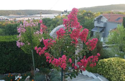 Apartman i Studio apartman Majoli - Foto 37