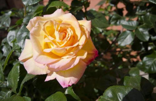 Club Villamar - Apartment Amity - Foto 34